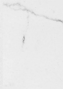 Carrara White, referência de Quartzos
