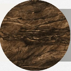 Brown Wood, referência de Quartzitos